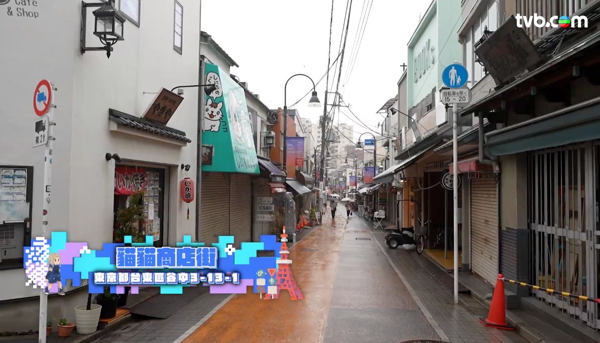 解風東京2杜如風第11集｜貓街食名人熱捧$17可樂餅 25cm高邪惡芝士漢堡扒 養生木浴提高免疫力