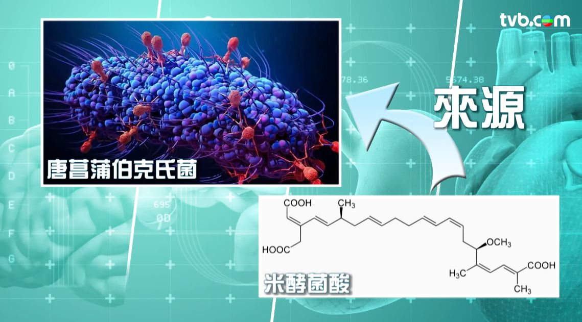 食物中毒｜食木耳、河粉致命？米酵菌酸死亡率超高 專家教浸泡木耳要這樣做！