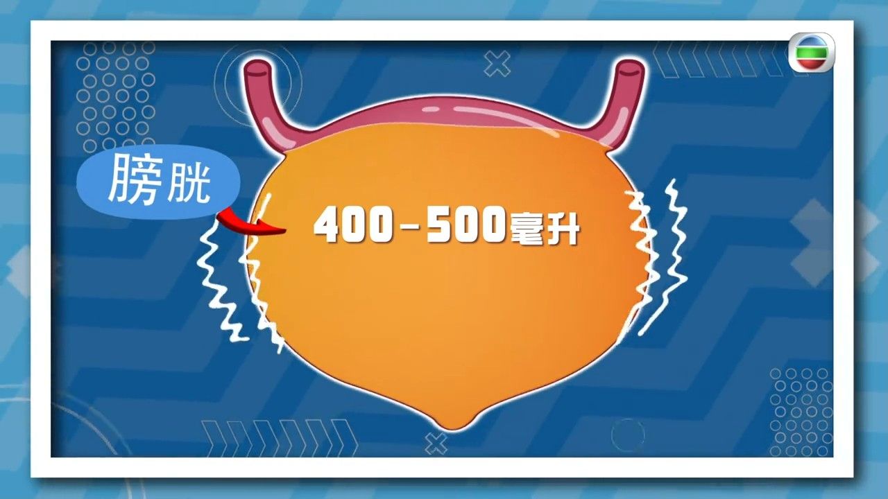 尿頻｜忍尿無益？專家拆解尿頻/夜尿問題！教3大方法＋2組運動減少夜尿
