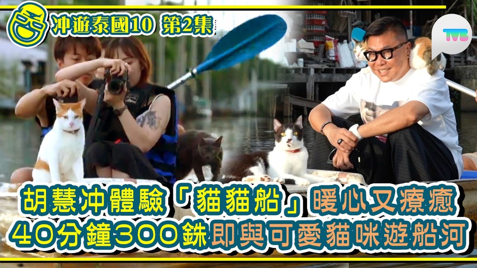 冲遊泰國10線上看第2集｜胡慧冲體驗「貓貓船」暖心又療癒40分鐘300銖即與可愛貓咪遊船河| TVB 無綫電視