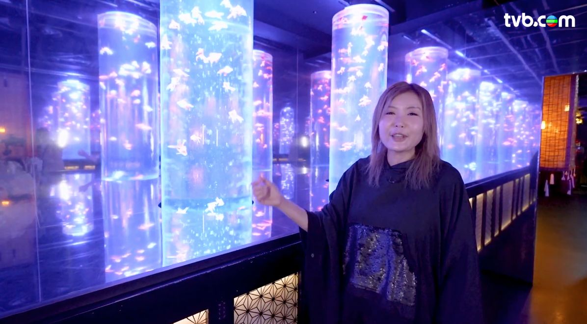 解風東京2杜如風第7集｜水產美食區食生蠔扇貝大拖羅＋免費足湯  打卡必去夢幻金魚美術館