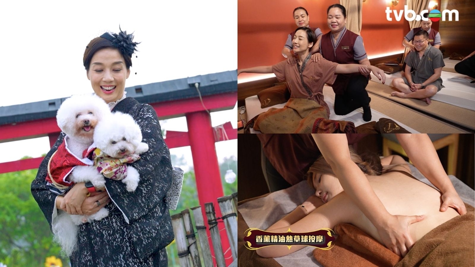 香港裸 一個香港．十種玩法過節篇｜江美儀帶愛犬打卡圓夢潘明璇裸背泰式體驗按摩| TVB 無綫電視