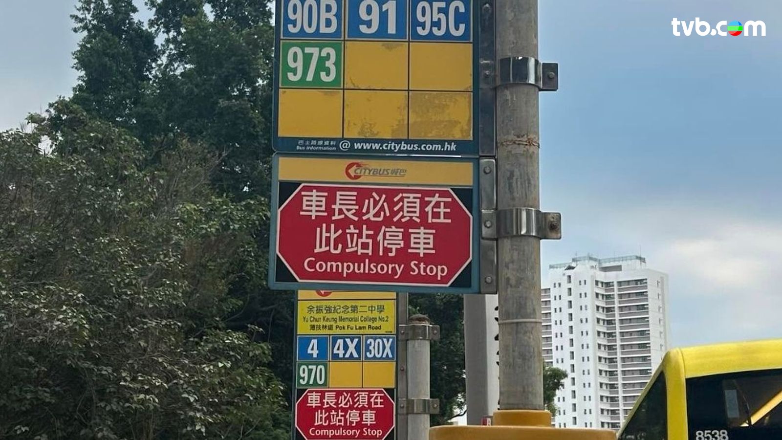 城巴站牌紅底白字勒令「車長必須停車」！原來並非為防飛站而設網民揭原因與「保命」有關？ | TVB 無綫電視