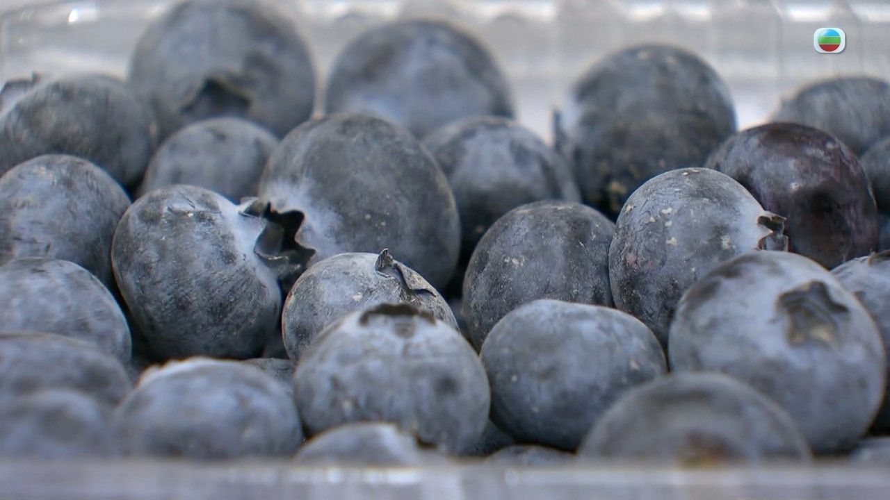 飛蚊症是視網膜脫落警號？飛蚊症3大高危人士要注意 營養師推介3類食物日常護眼