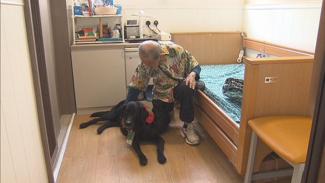 「友伴犬」進駐安老院舍 為長者減輕孤獨感提升身心健康