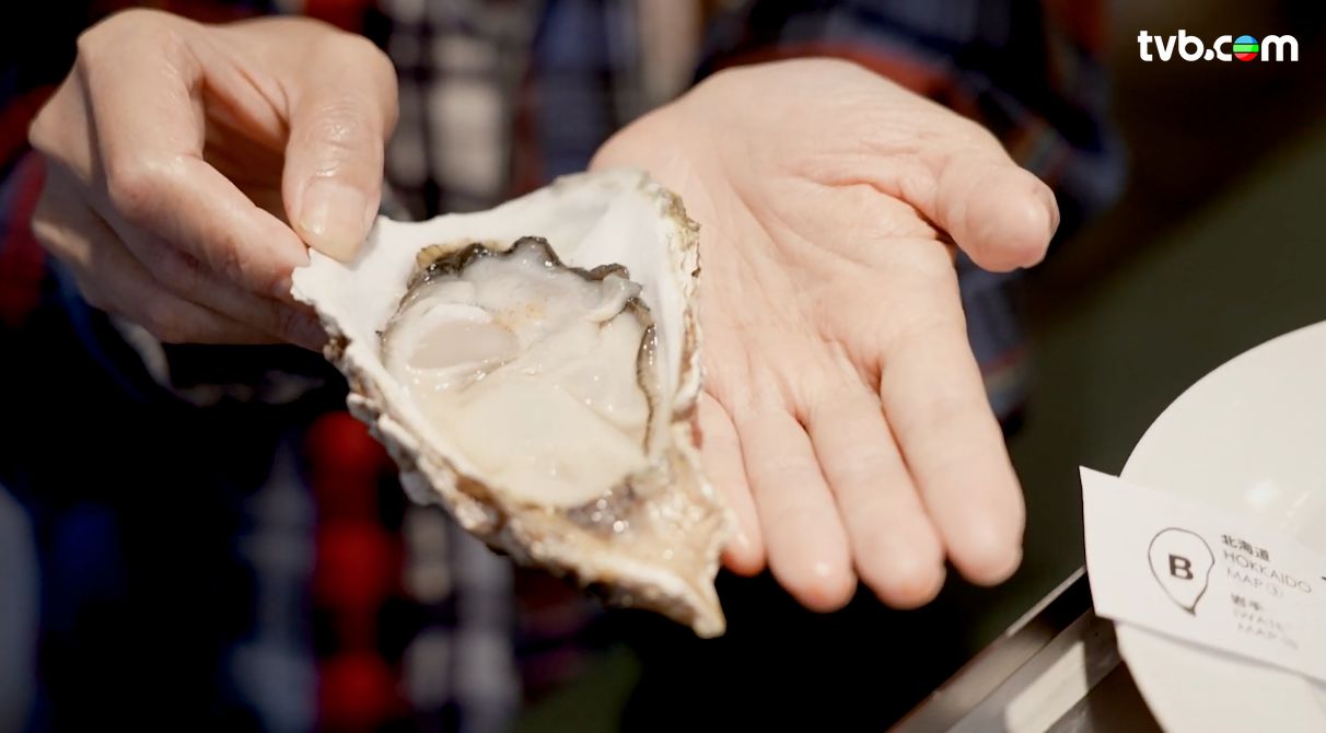 解風東京2杜如風第7集｜水產美食區食生蠔扇貝大拖羅＋免費足湯  打卡必去夢幻金魚美術館