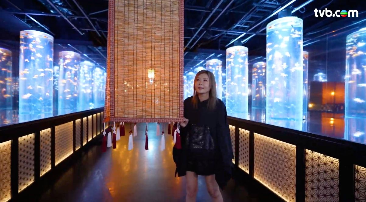 解風東京2杜如風第7集｜水產美食區食生蠔扇貝大拖羅＋免費足湯  打卡必去夢幻金魚美術館