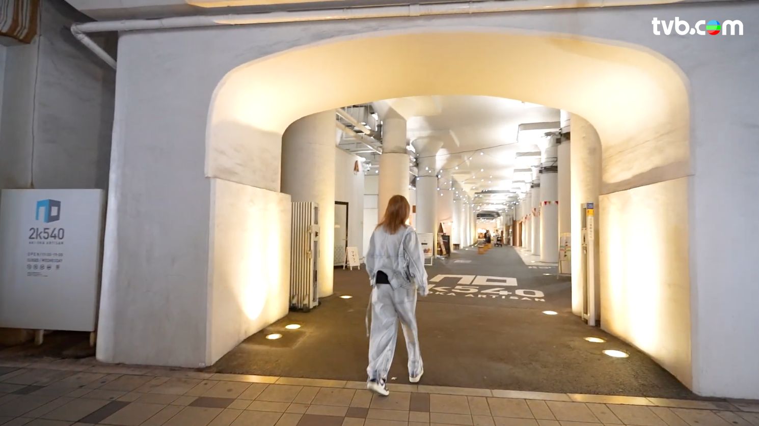 解風東京2杜如風第13集｜$105北海道馬糞海膽丼超抵食 秋葉原文青藝術手作區