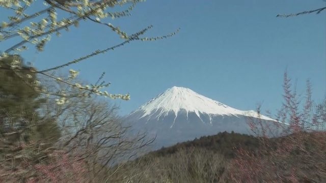 日本山梨縣七月起徵收二千日圓富士山通行費 更好控制登山人數