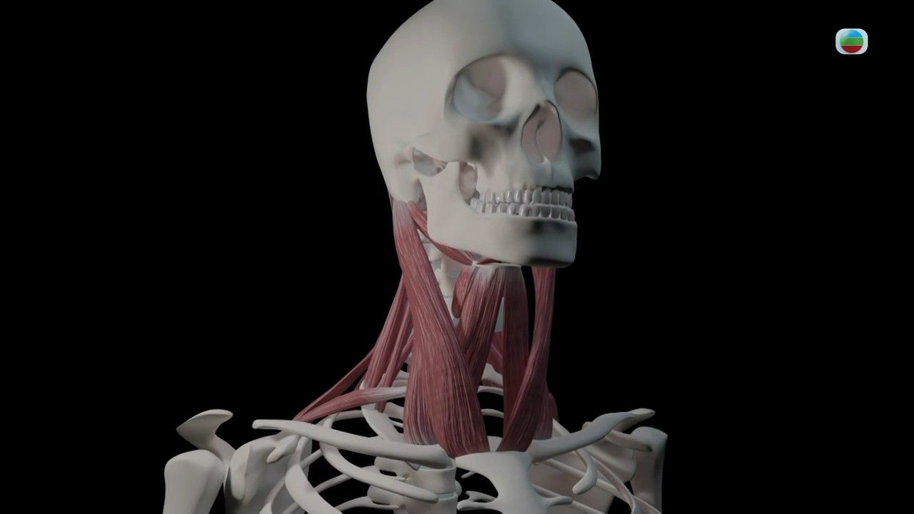 健康新聞報道｜專科醫生提醒按摩不當可致中風 30歲港人泰國按摩後出事？這2位置不能隨便按壓