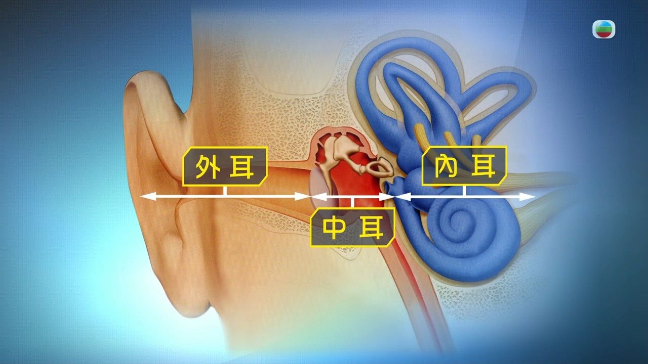 耳水不平衡｜天旋地轉頭暈是耳水不平衡造成？患者日常7大宜忌 物理治療師教1組動作改善暈眩感