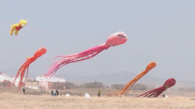 內蒙巴林左旗近三千風箏空中飄揚 展現文化傳承與追尋
