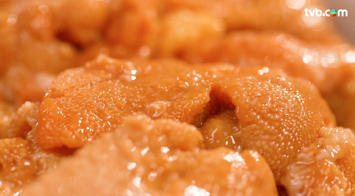 解風東京2杜如風第13集｜$105北海道馬糞海膽丼超抵食 秋葉原文青藝術手作區