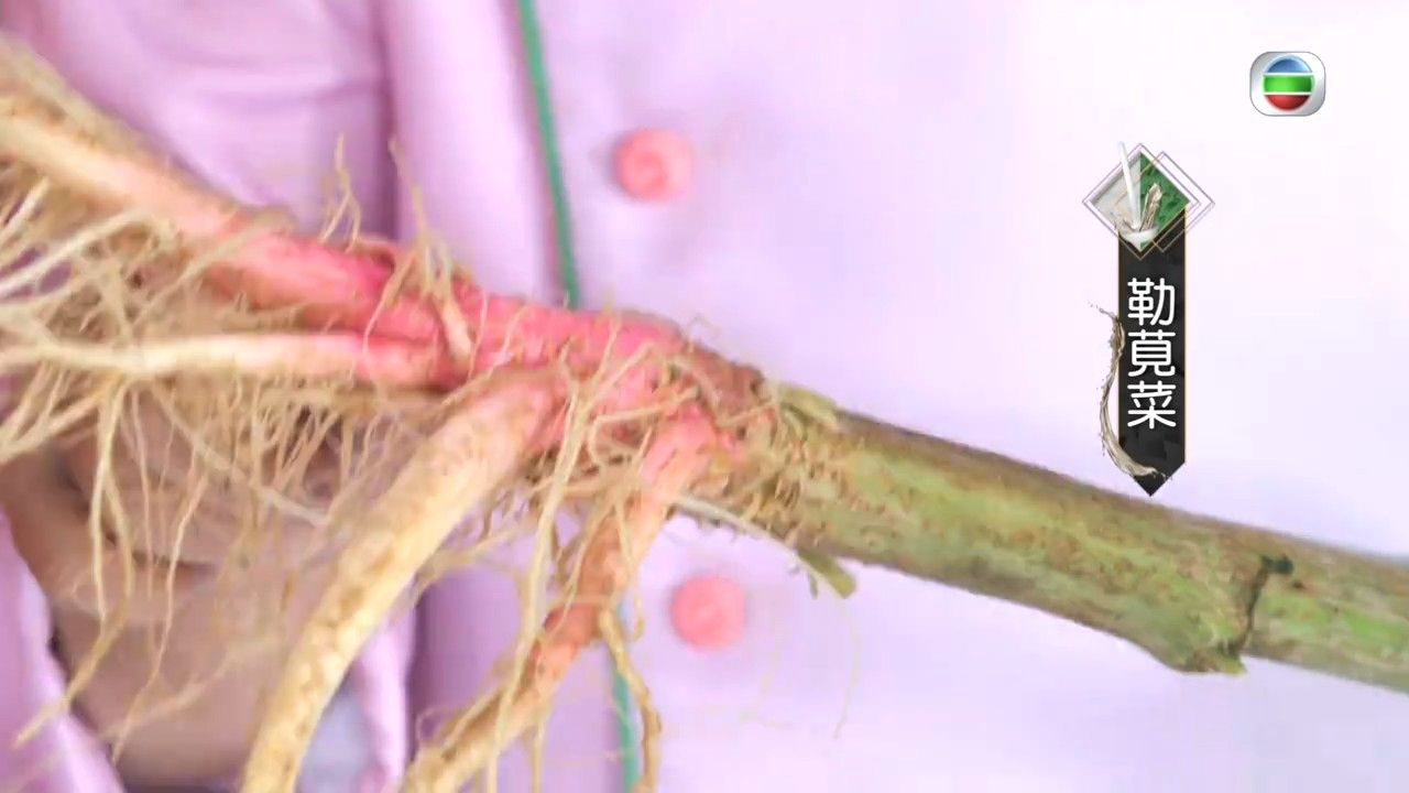 袪濕湯水｜三姐教煲勒莧菜合掌瓜排骨湯 袪濕清熱＋消水腫 2個貼士令湯水更清甜