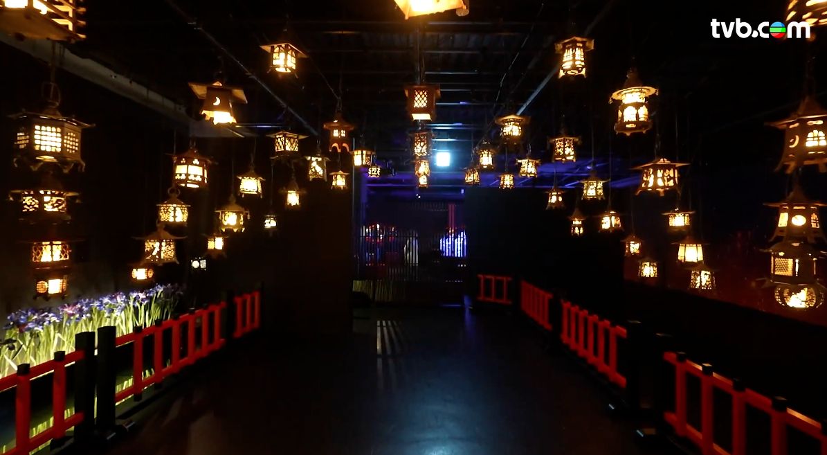 解風東京2杜如風第7集｜水產美食區食生蠔扇貝大拖羅＋免費足湯  打卡必去夢幻金魚美術館