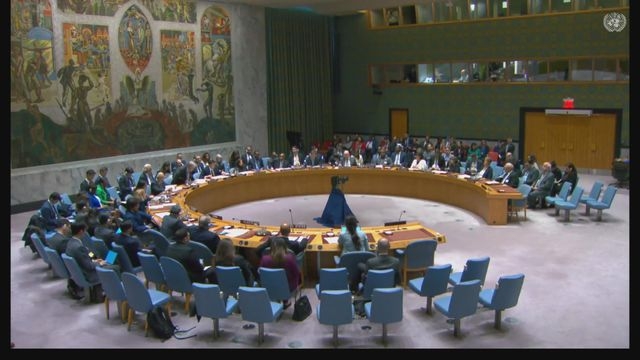 【以巴衝突】美國一票否決巴勒斯坦加入聯合國決議案 中方對美方決定極失望