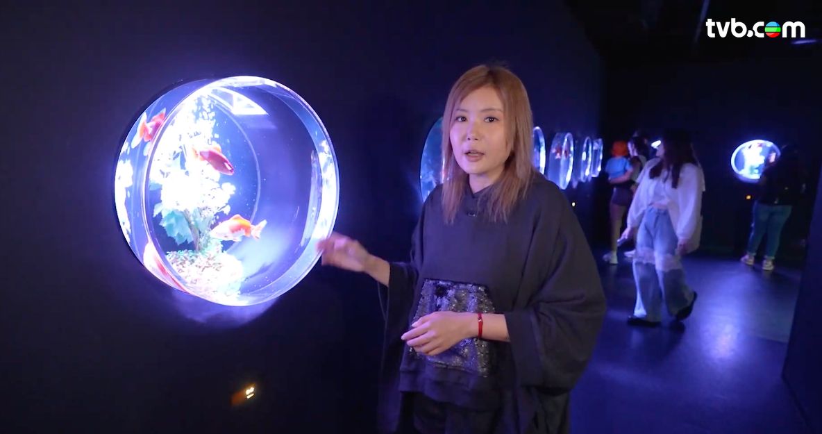 解風東京2杜如風第7集｜水產美食區食生蠔扇貝大拖羅＋免費足湯  打卡必去夢幻金魚美術館