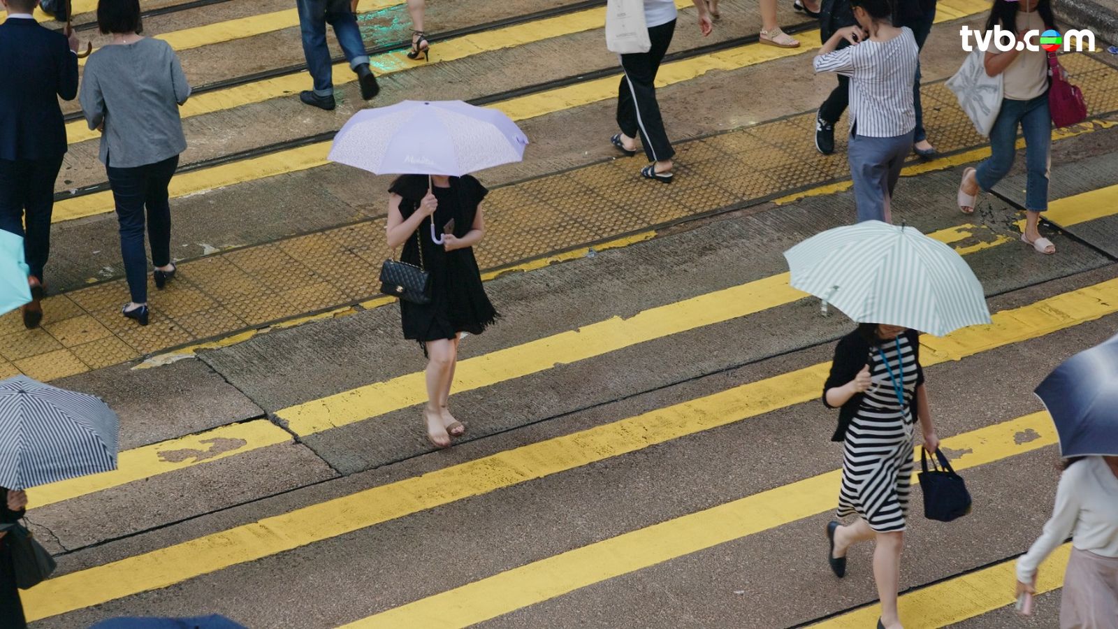 打風｜中秋前夕又打風？天文台料周末將有大風及驟雨 高地風力或達3號風球 | TVB 無綫電視