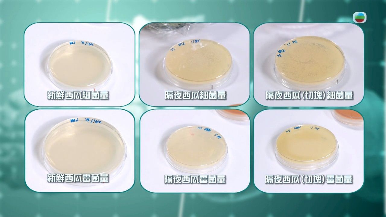 健康新聞報道｜內地男子吃隔夜西瓜致死？醫生：最嚴重出現敗血症！切生果必知2大重點
